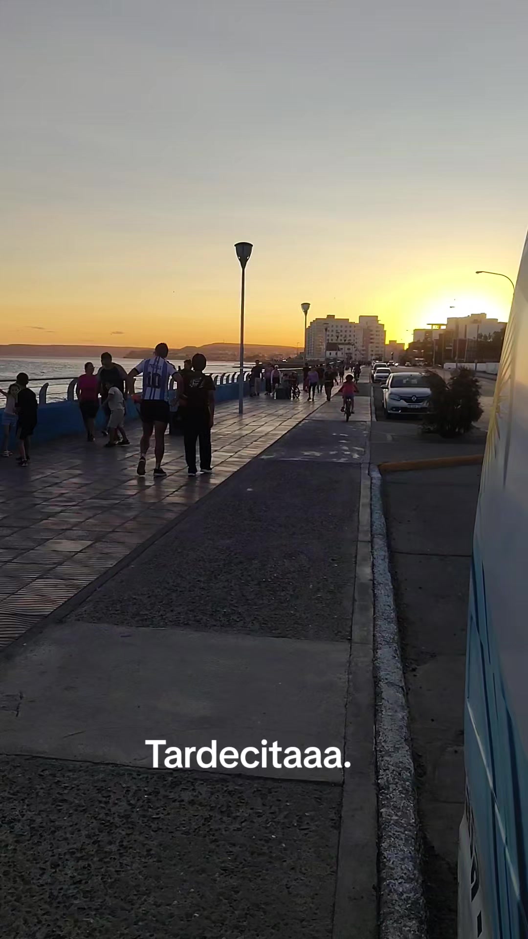 @miguelvivas739