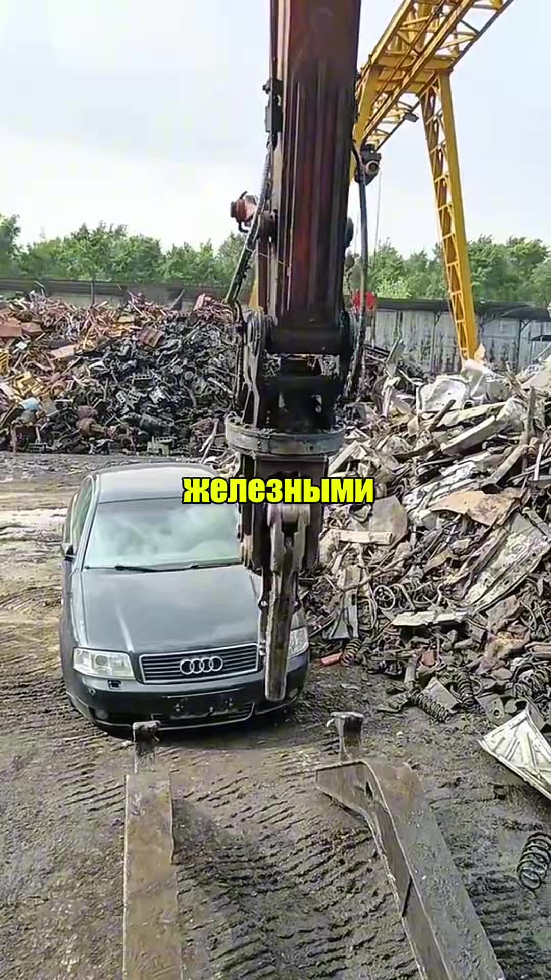 @NOFΛCΞ