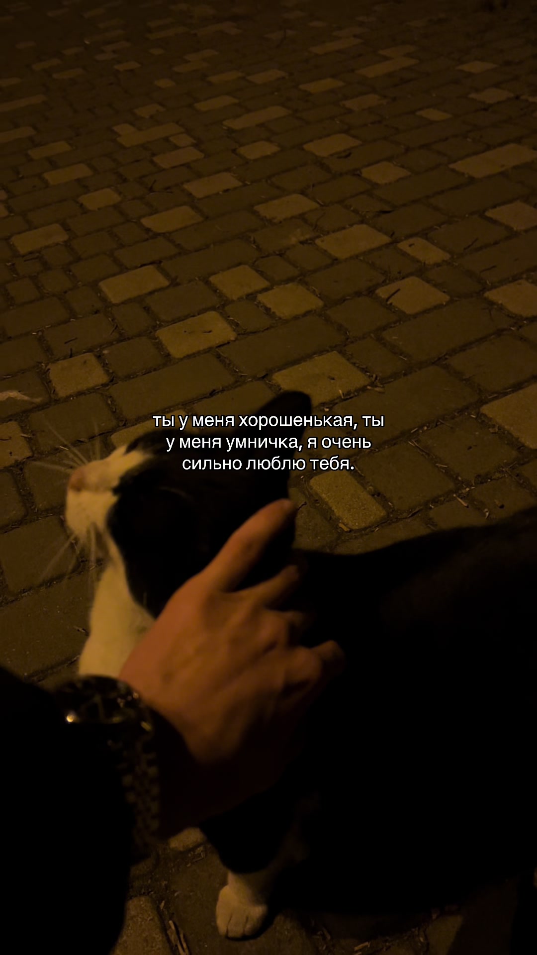 @кис кис💗