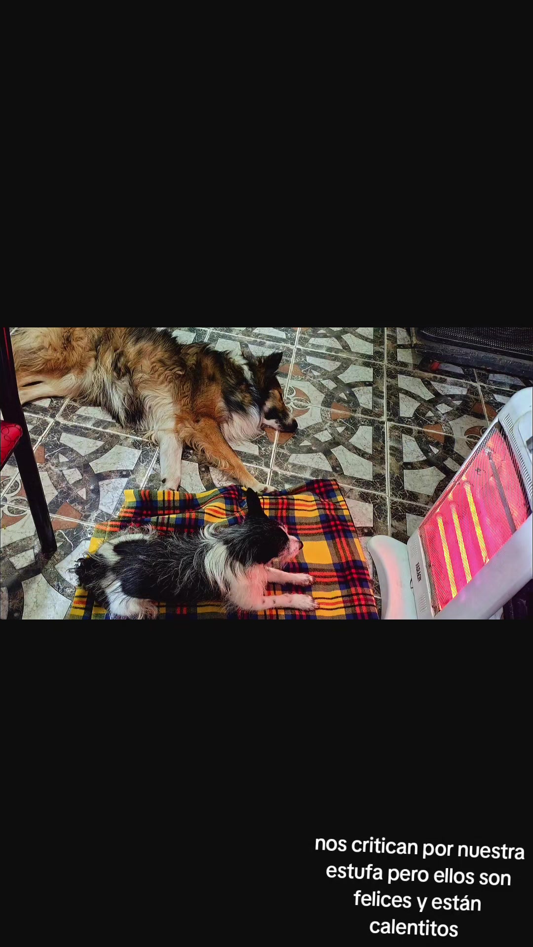 @li@PelusinyNeron🐾
