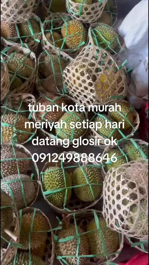 @Kenzhi Durian Tuban