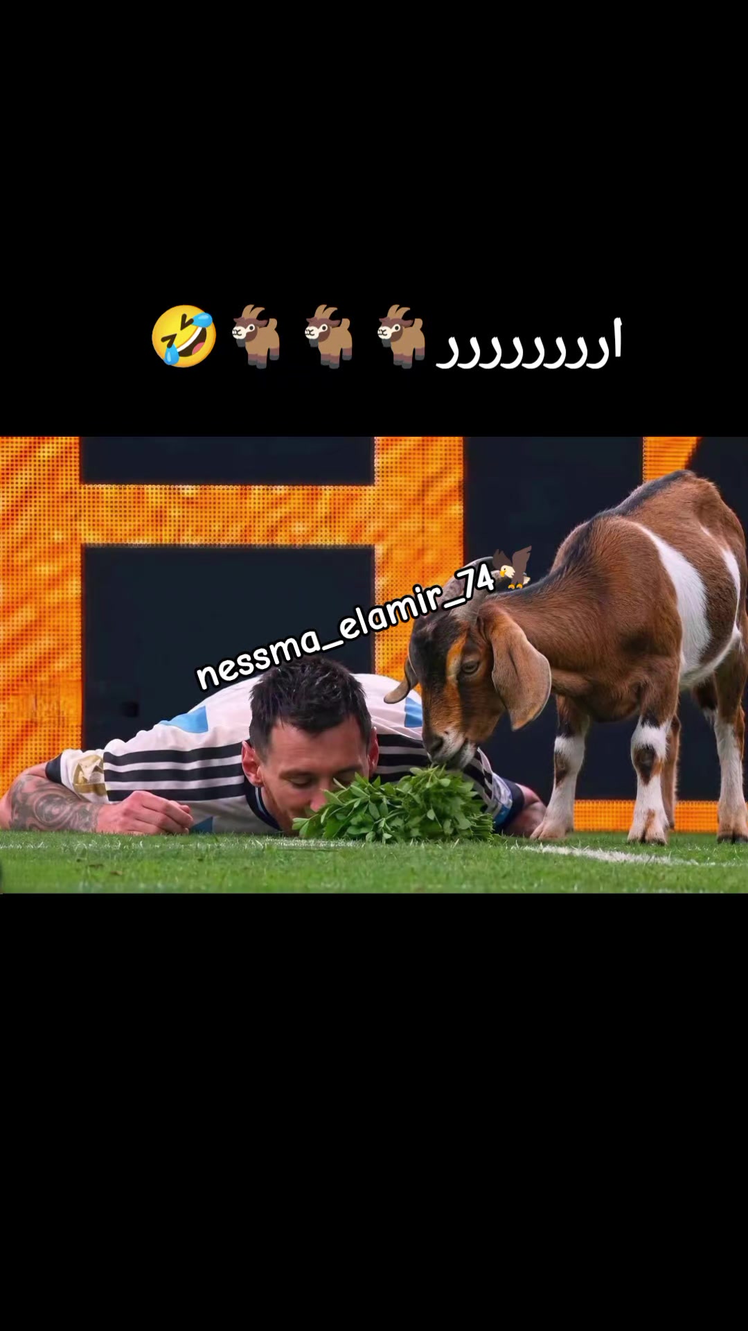 @🦅❤️Cap_nessma_elamir_74❤️🦅