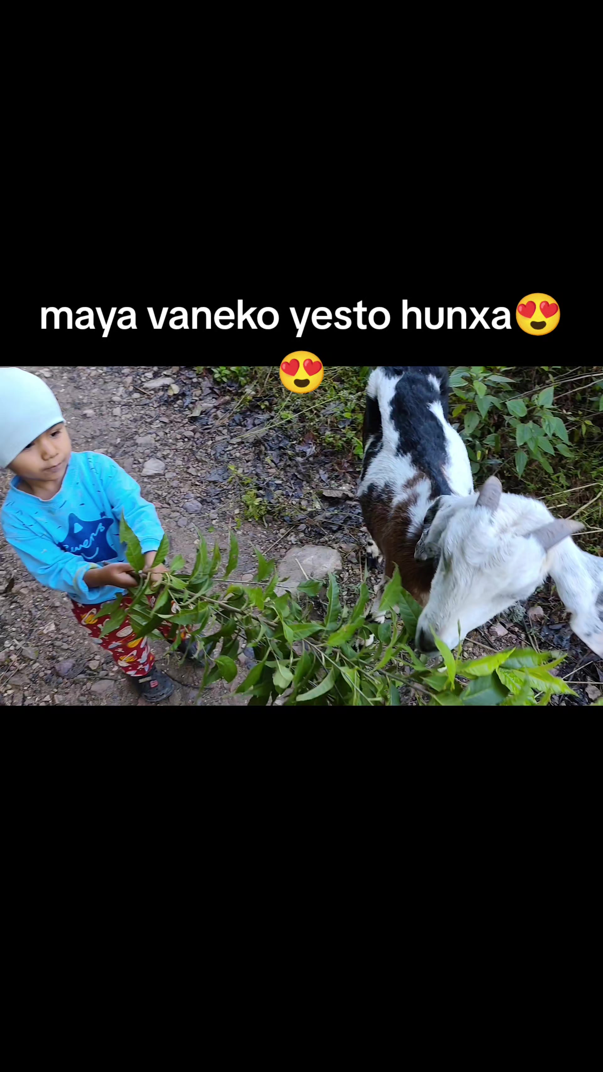 @Hari Gotame706🤘para para