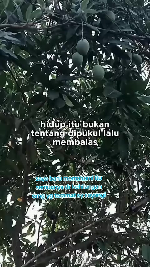 @toko sembako elifah syifah