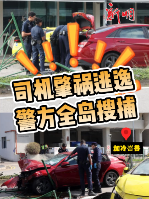@新明日报