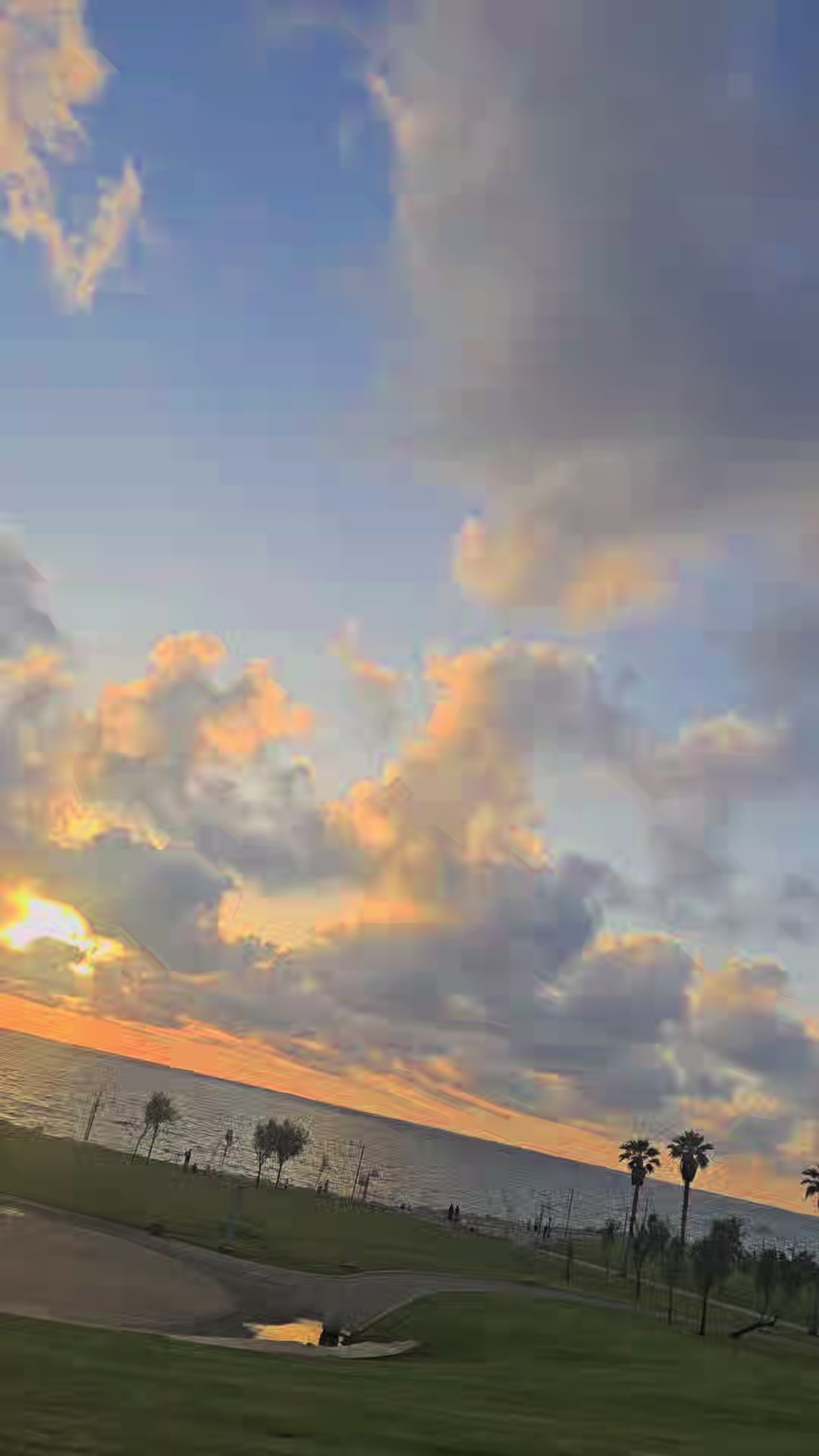 @الاء زيدان سكران محاميد