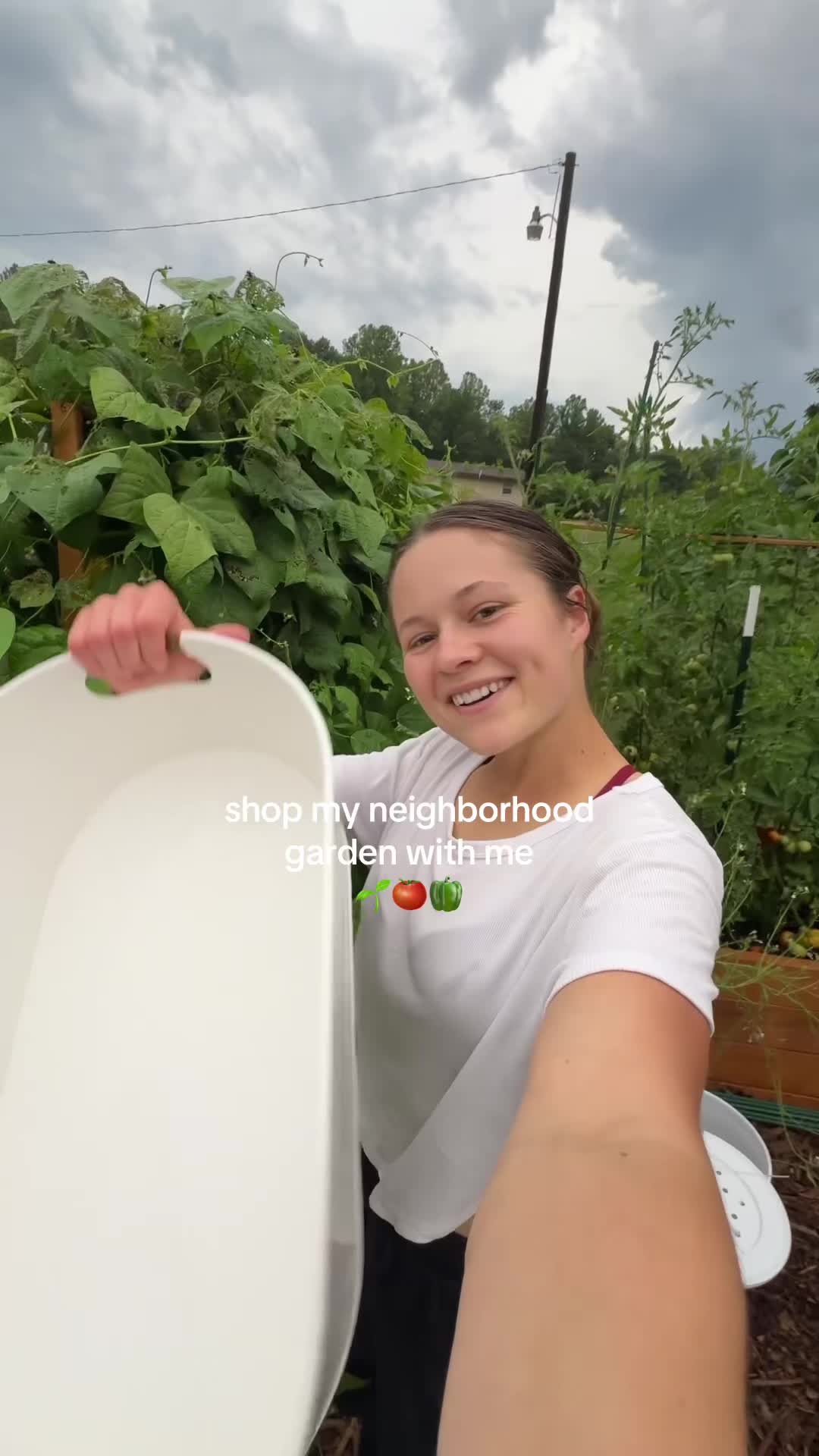 @susannah.p