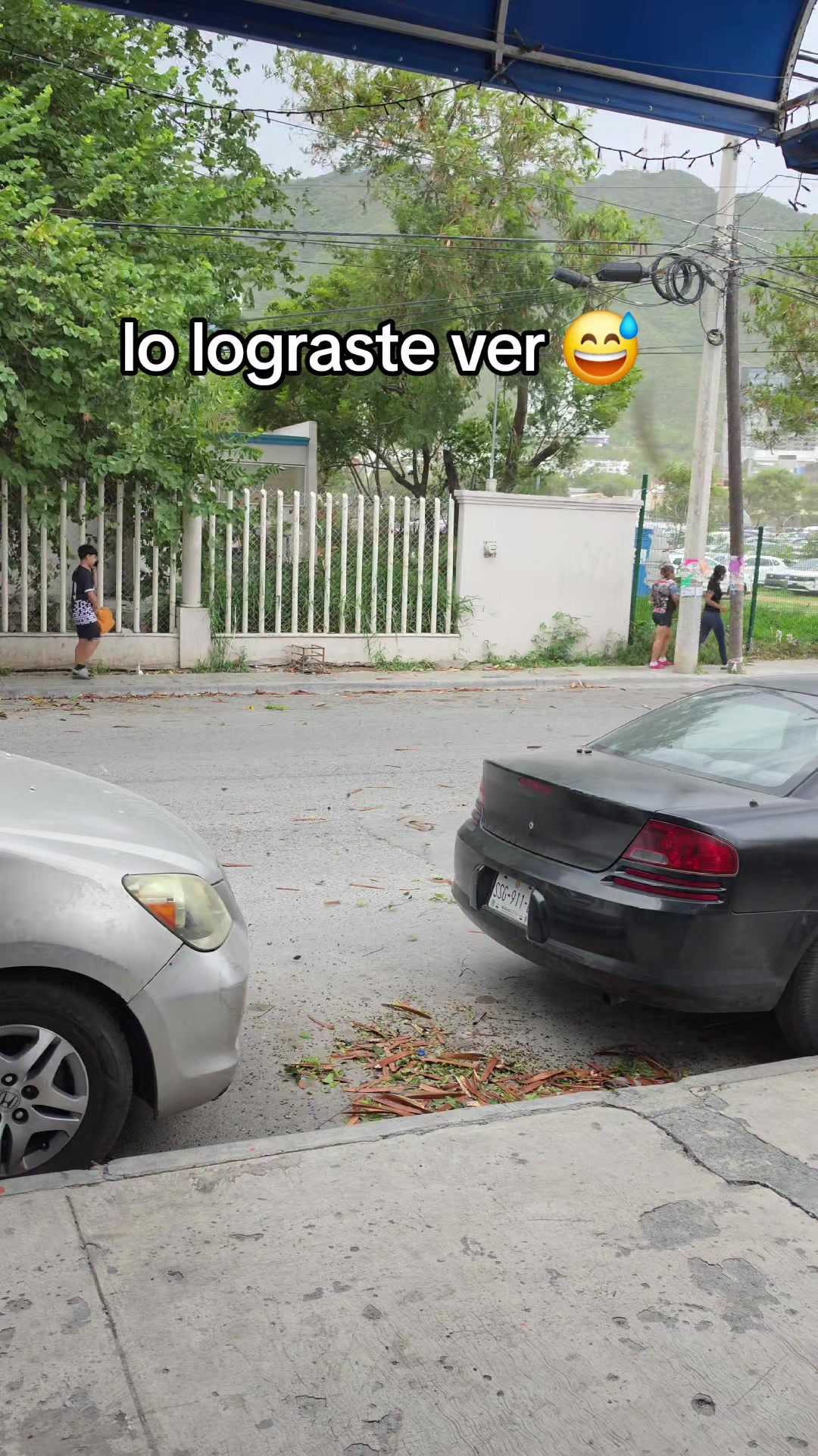 @rolroyz