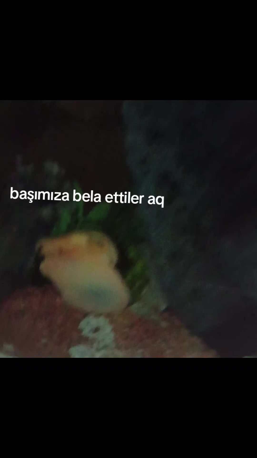@ömerrrrşancı★