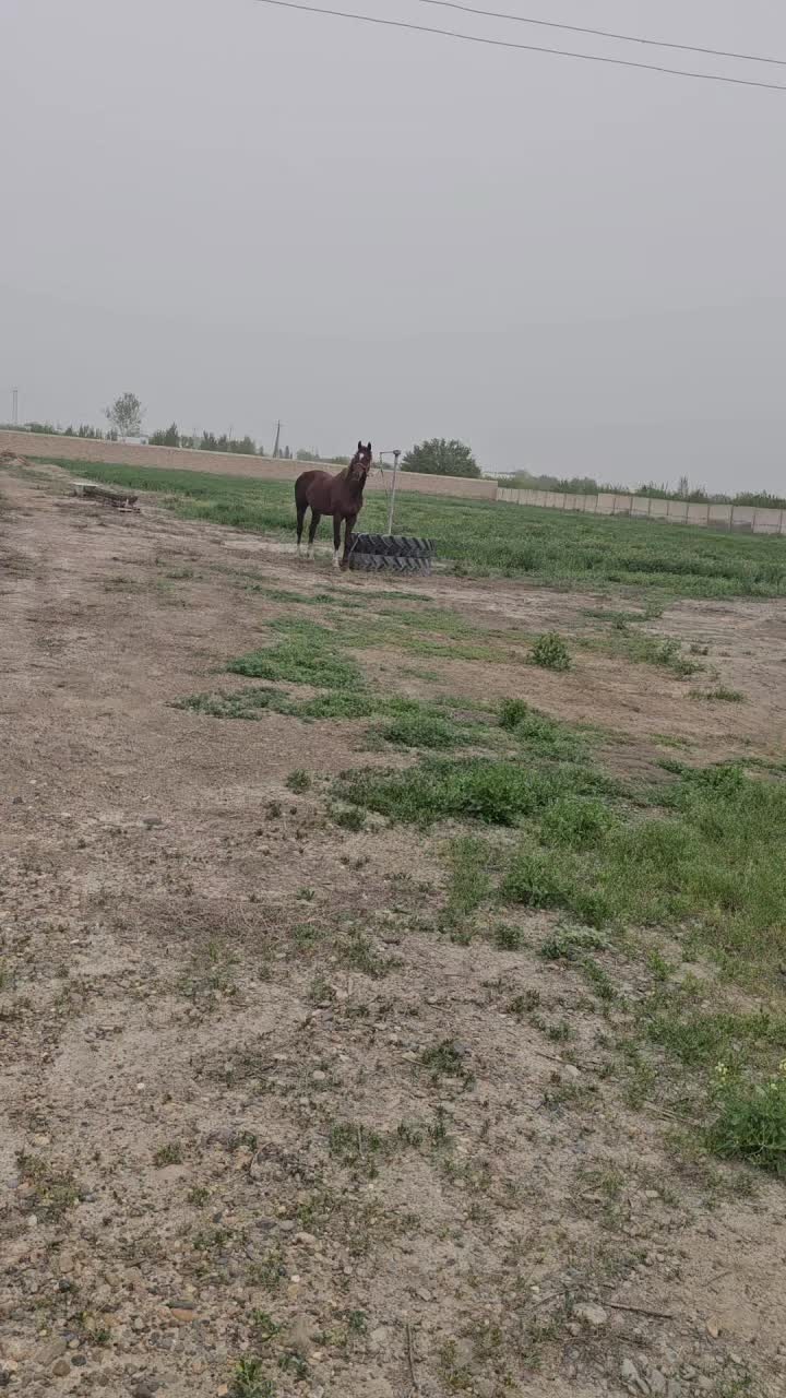 @Ravshan008