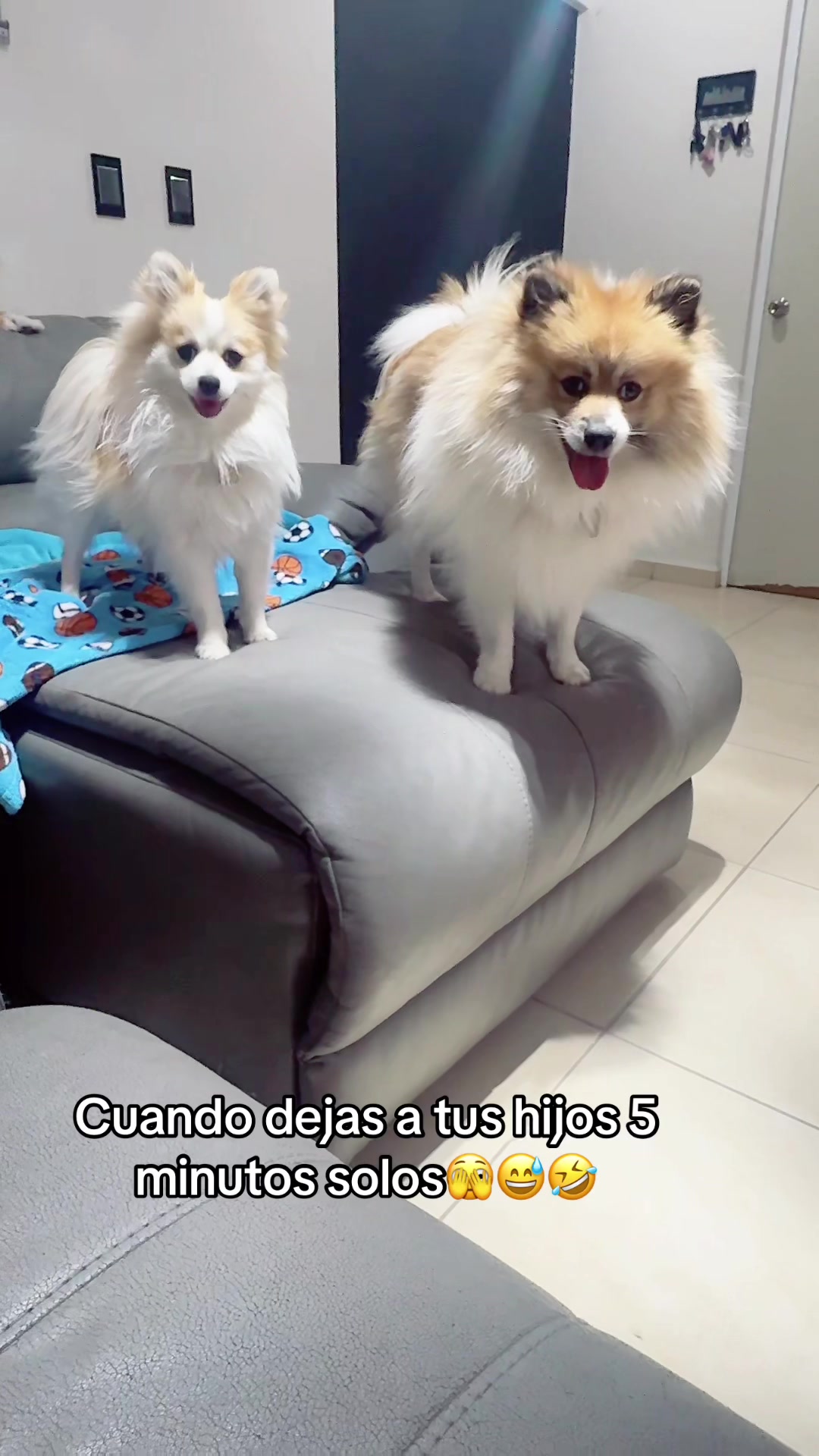 @Dallana y Dexter🐶