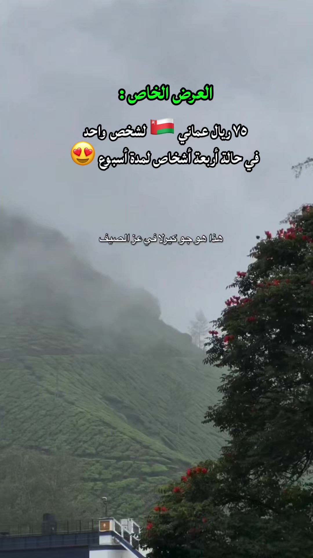 @محمد رافع الهندي🇮🇳