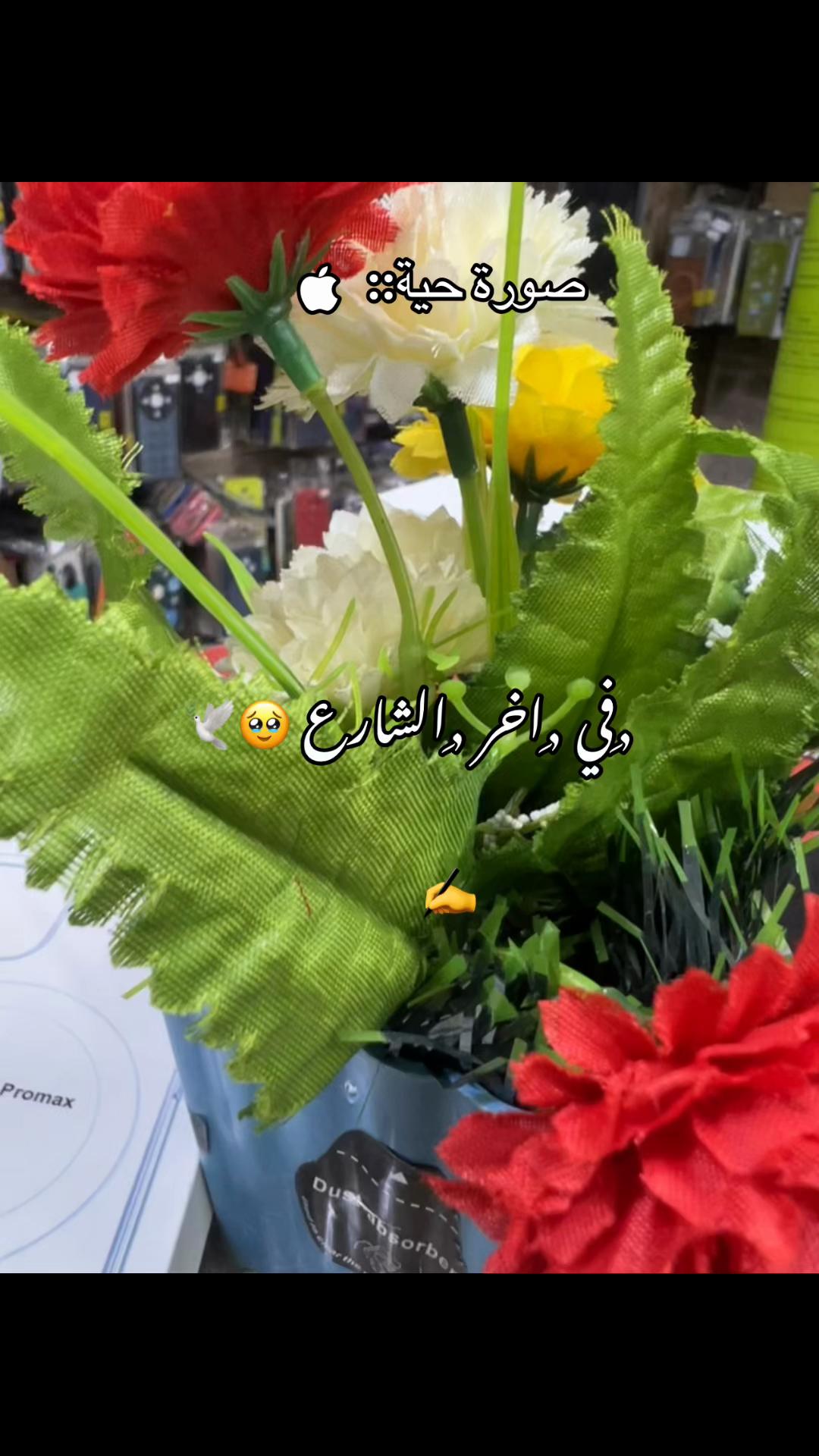 @.ماجد ❓🤍