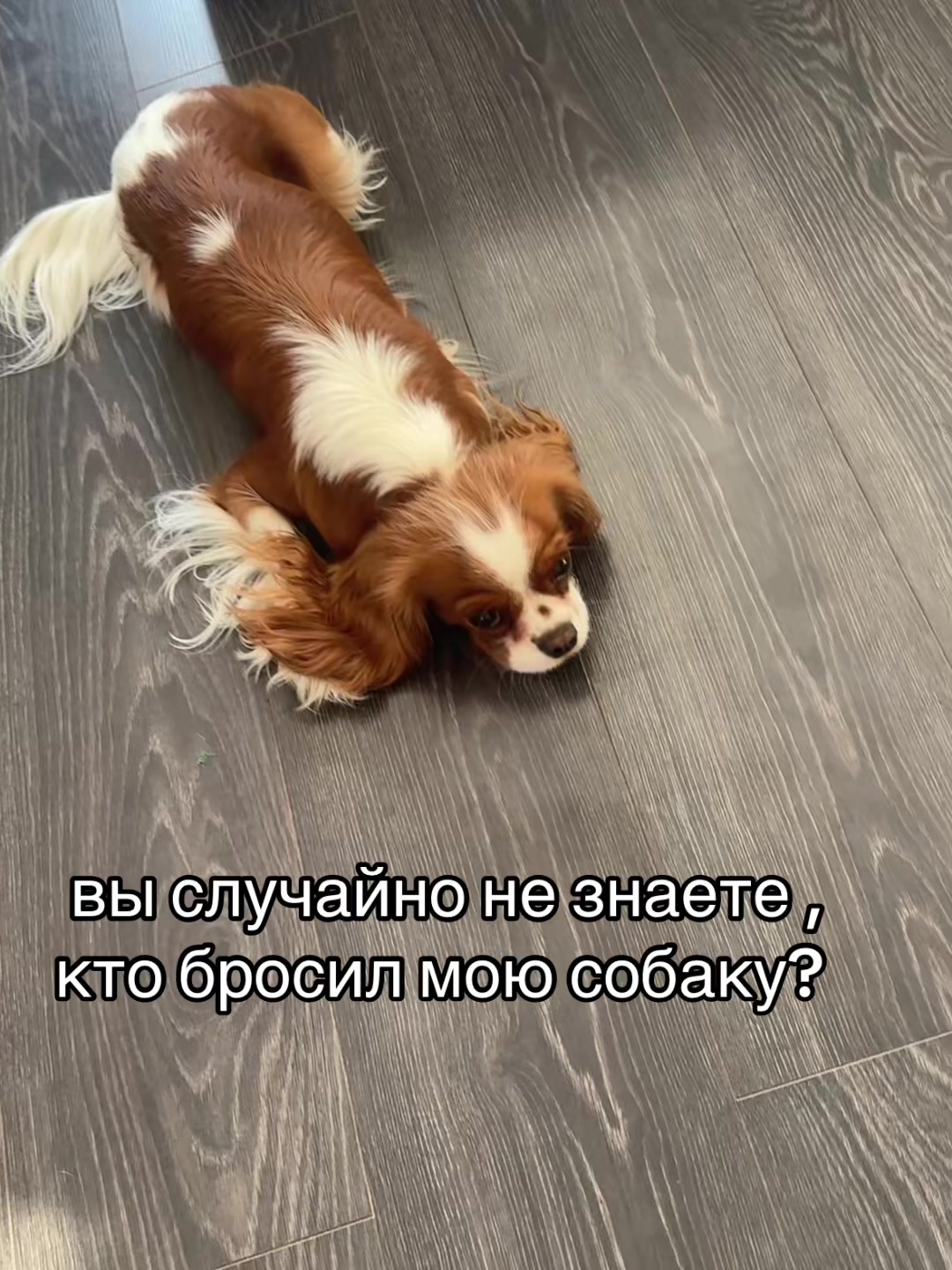 @aluxzzzzzv