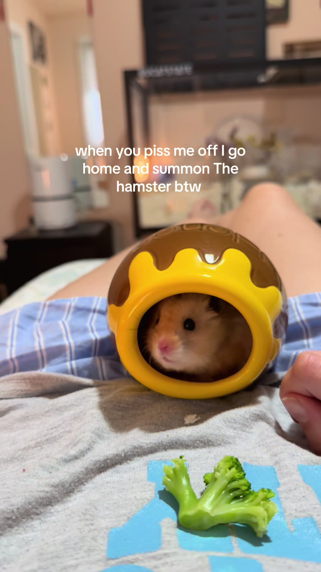 @hamsterwlw