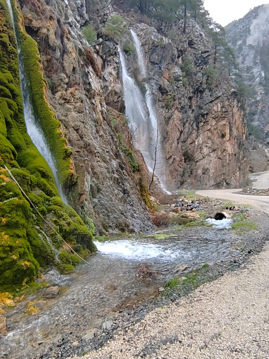 @Ali Sağlamer
