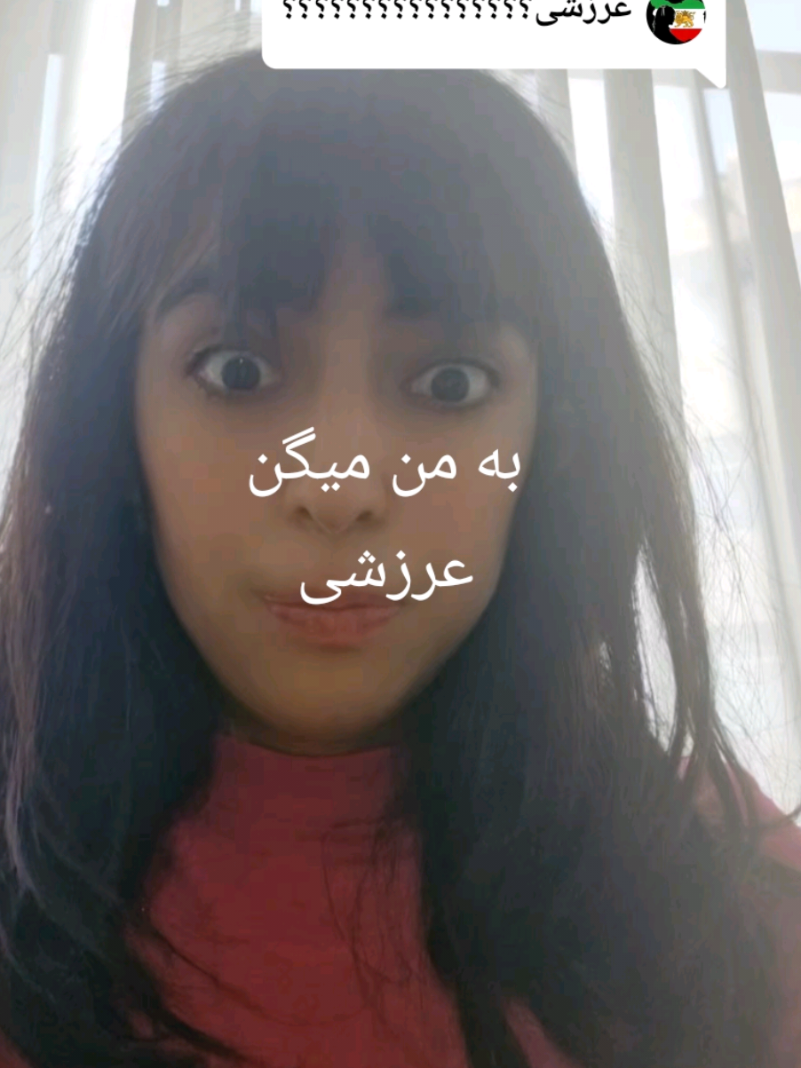 @sadaf karami