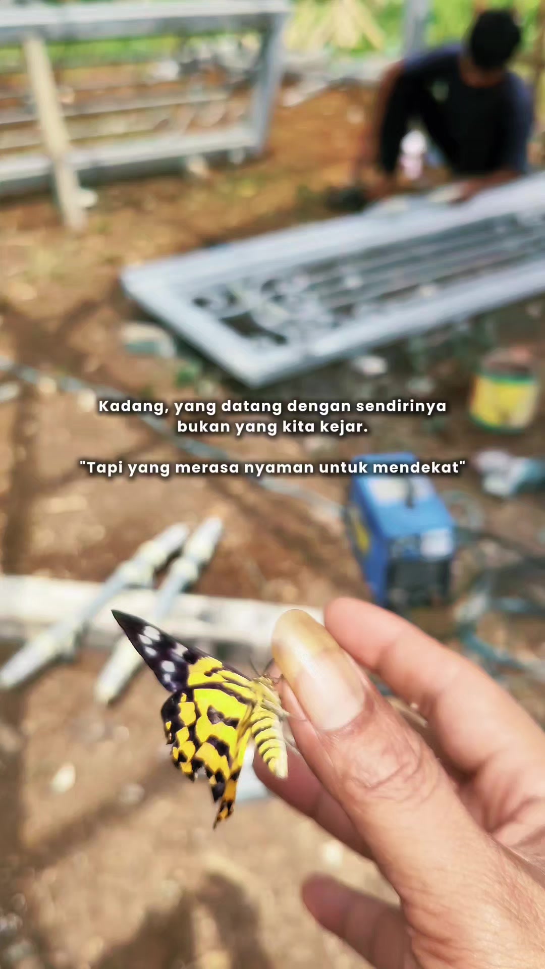 @Kang Arbain | Acds