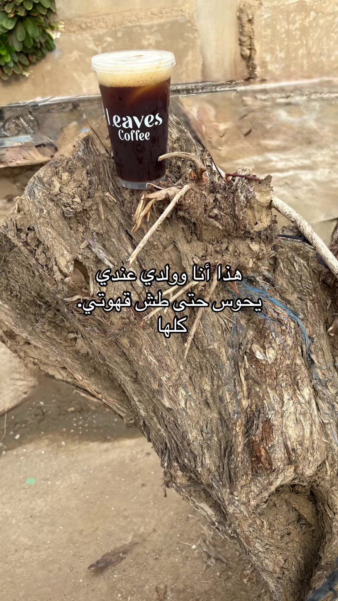 @عقيله هتان