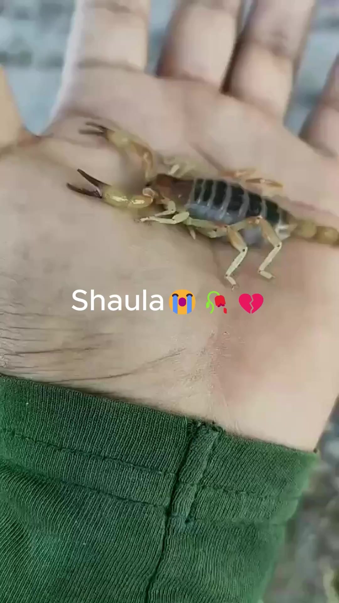 @Kintorus