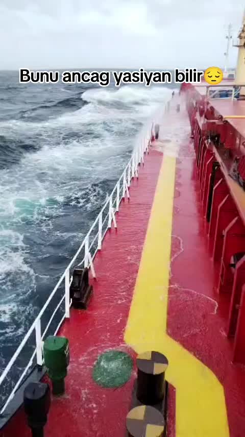 @denizci