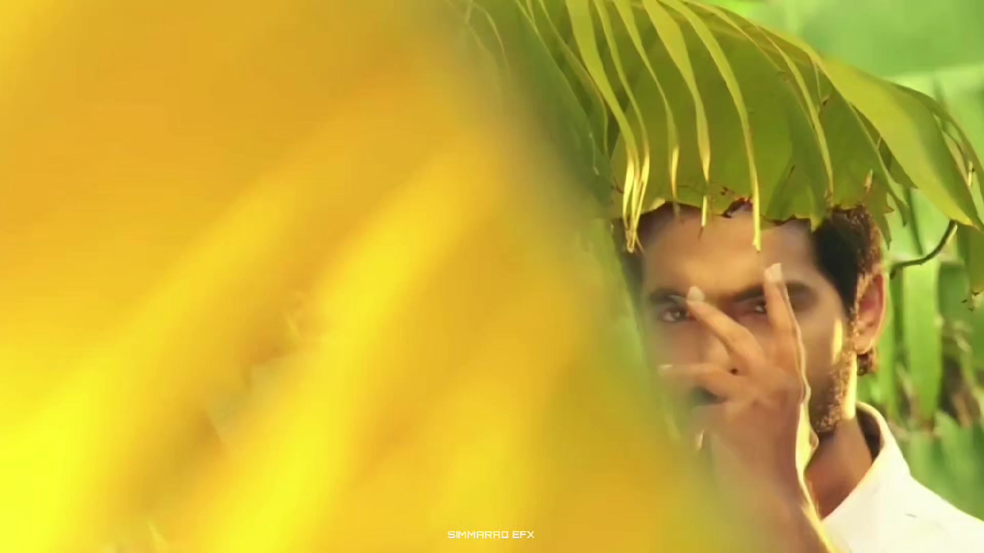 @𝑆𝐼𝑀𝑀𝐴𝑅𝐴𝑂 𝐸𝐹𝑋