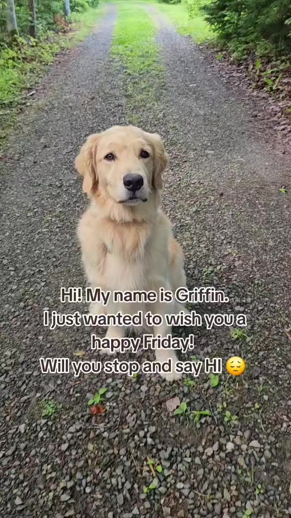 @🐶Griffin