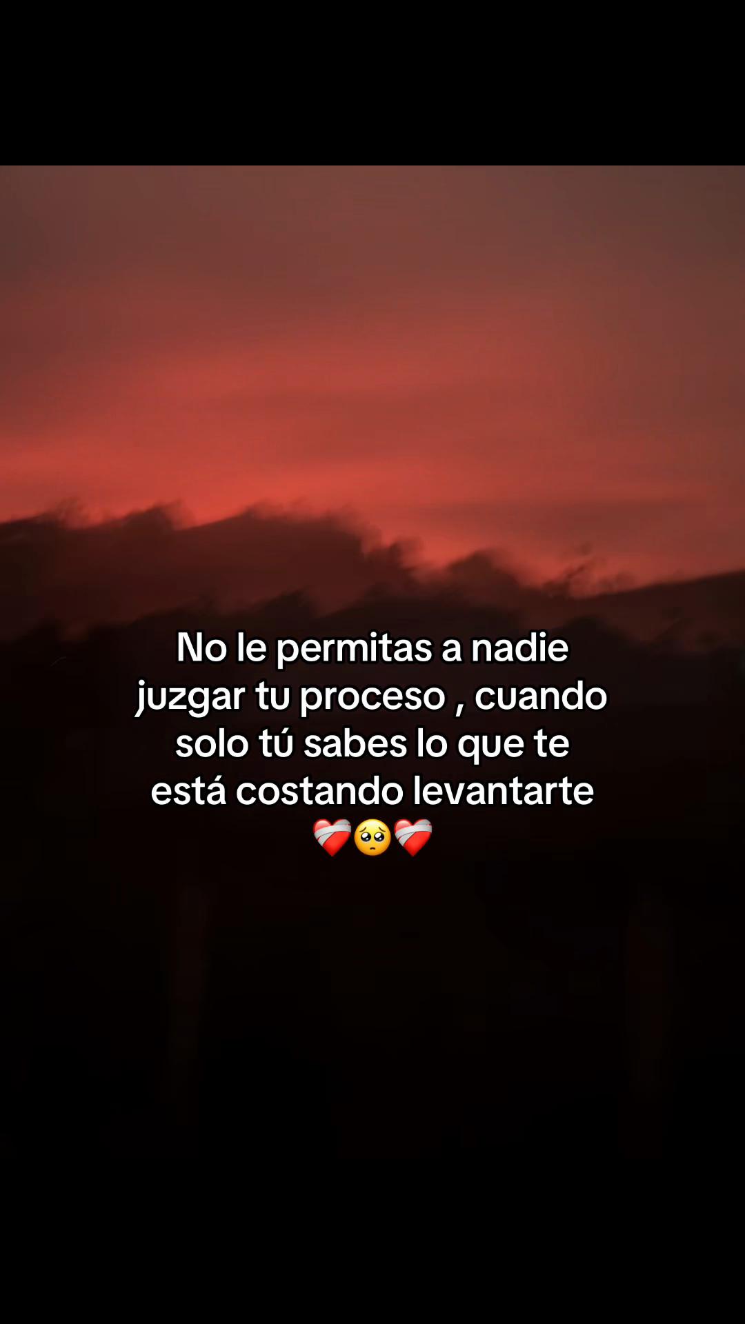 @🌻🎤🌻