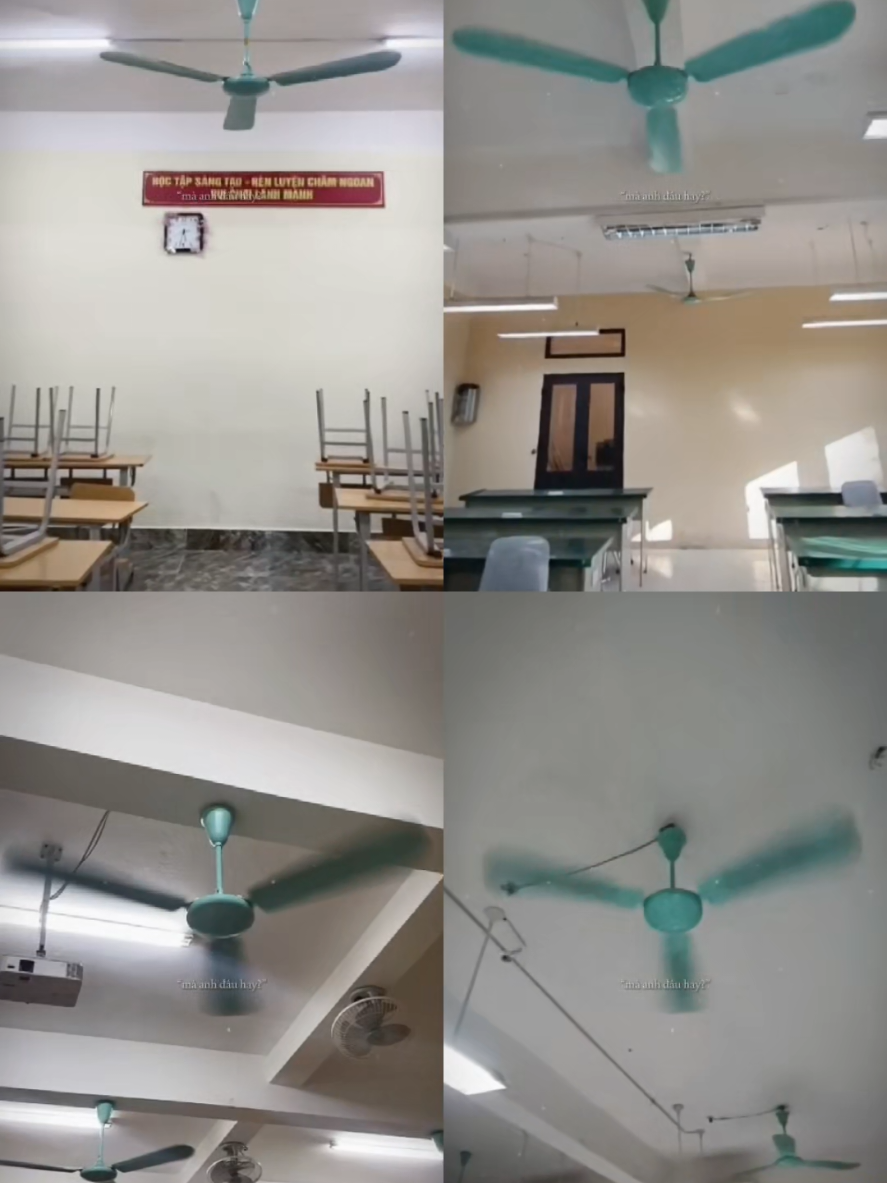 @ceiling fan is vietnam