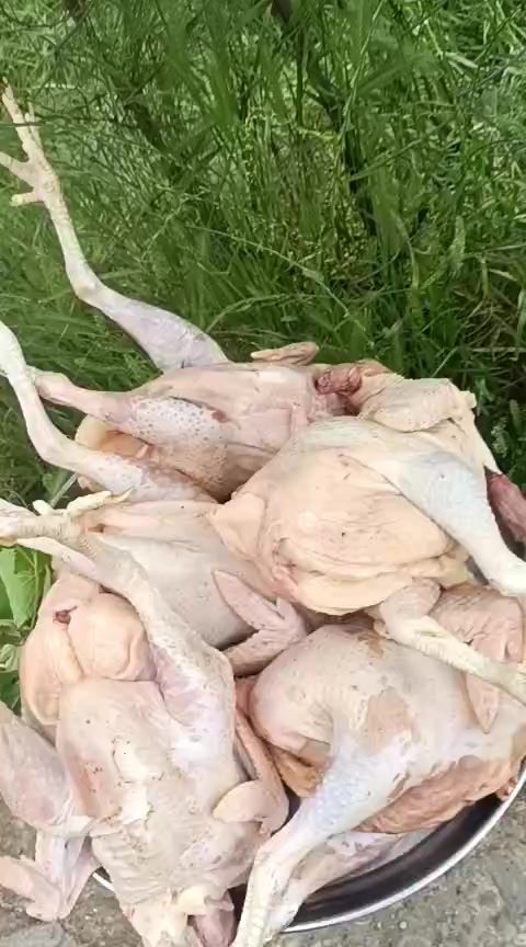 @Cenub_sebeti_ibAy
