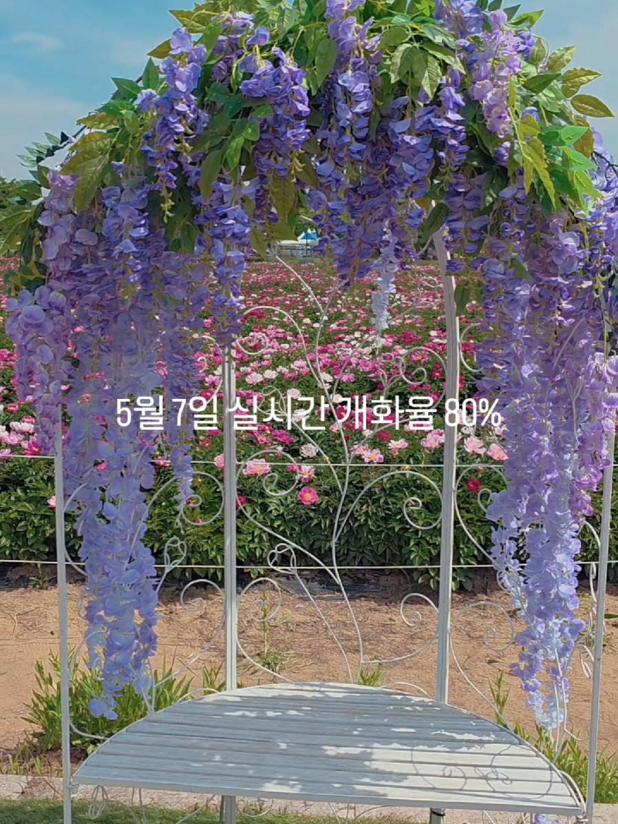 @오찬물