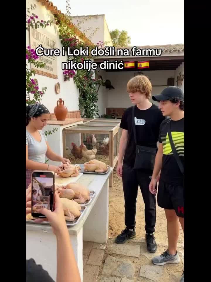 @🇪🇸