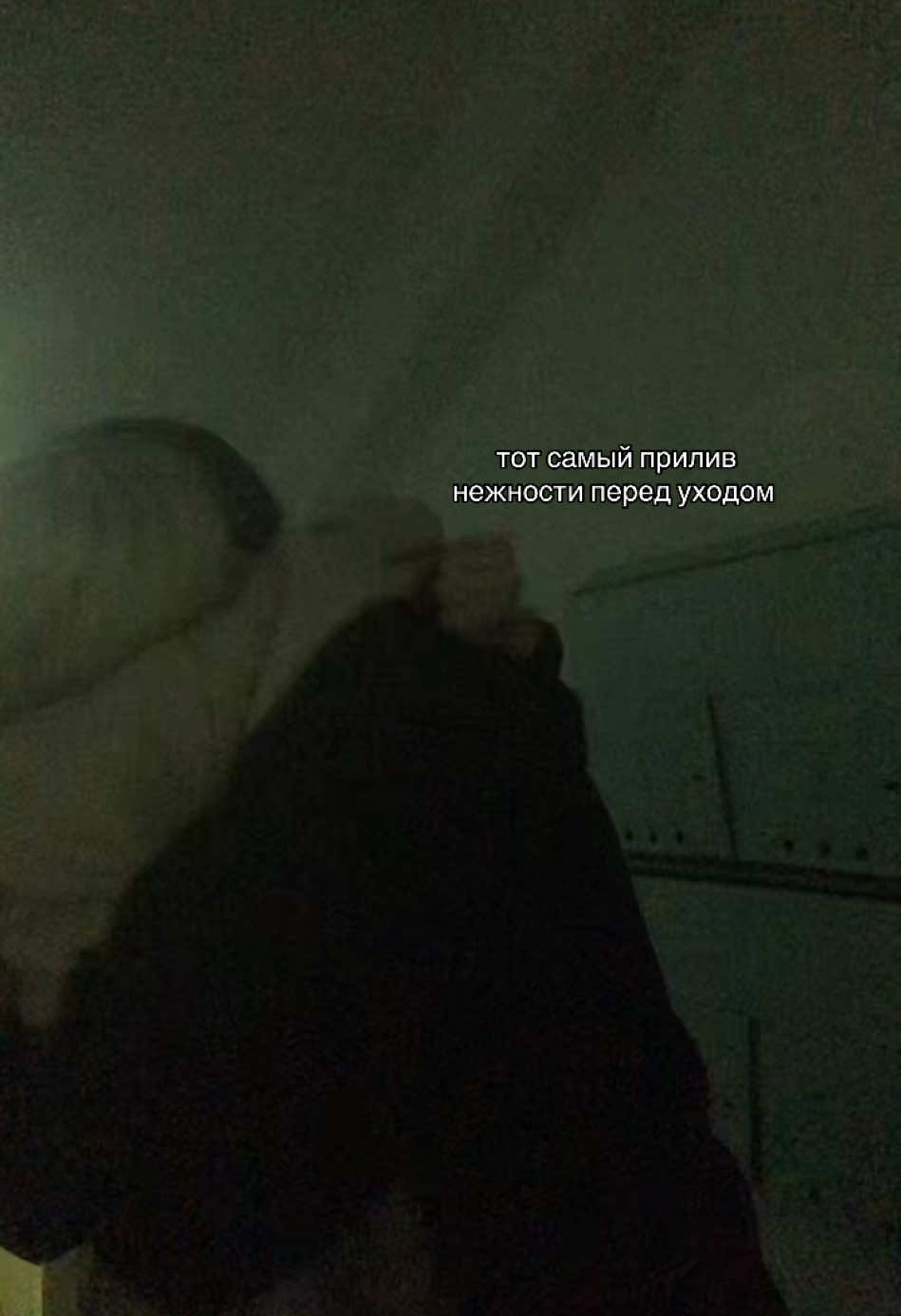 @тгк: виккисс🪽