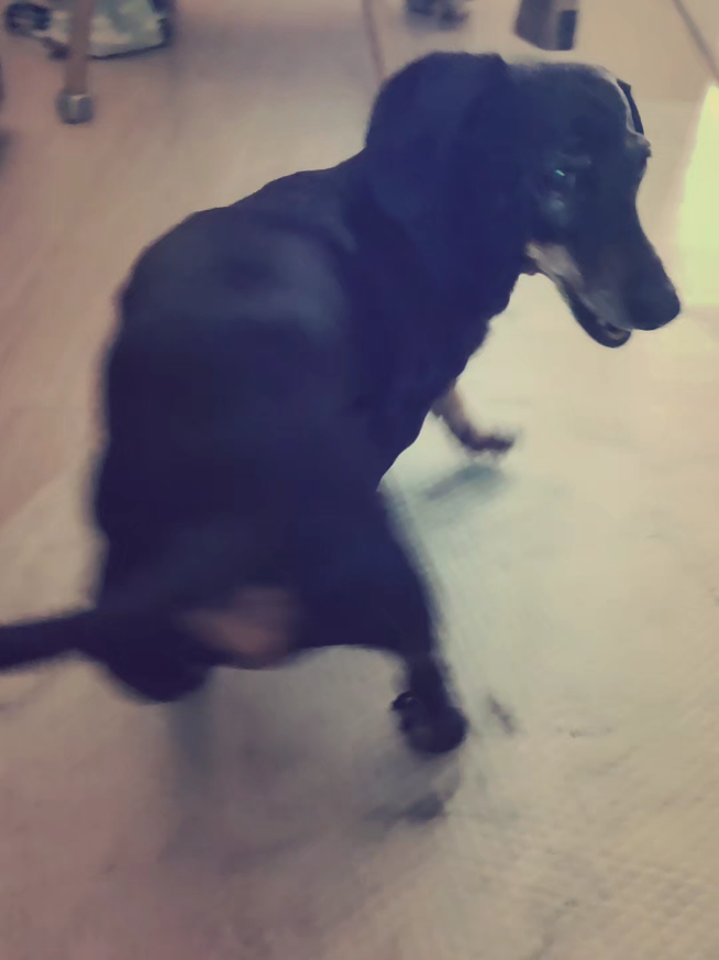 @👑마린블루J