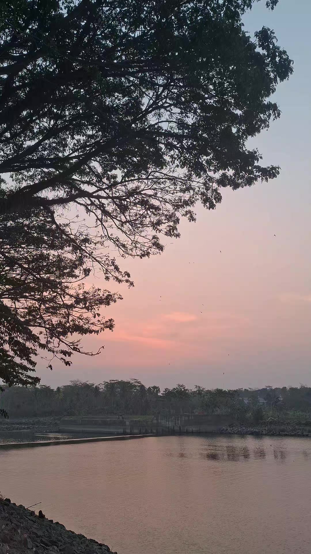 @Gasle Fishing
