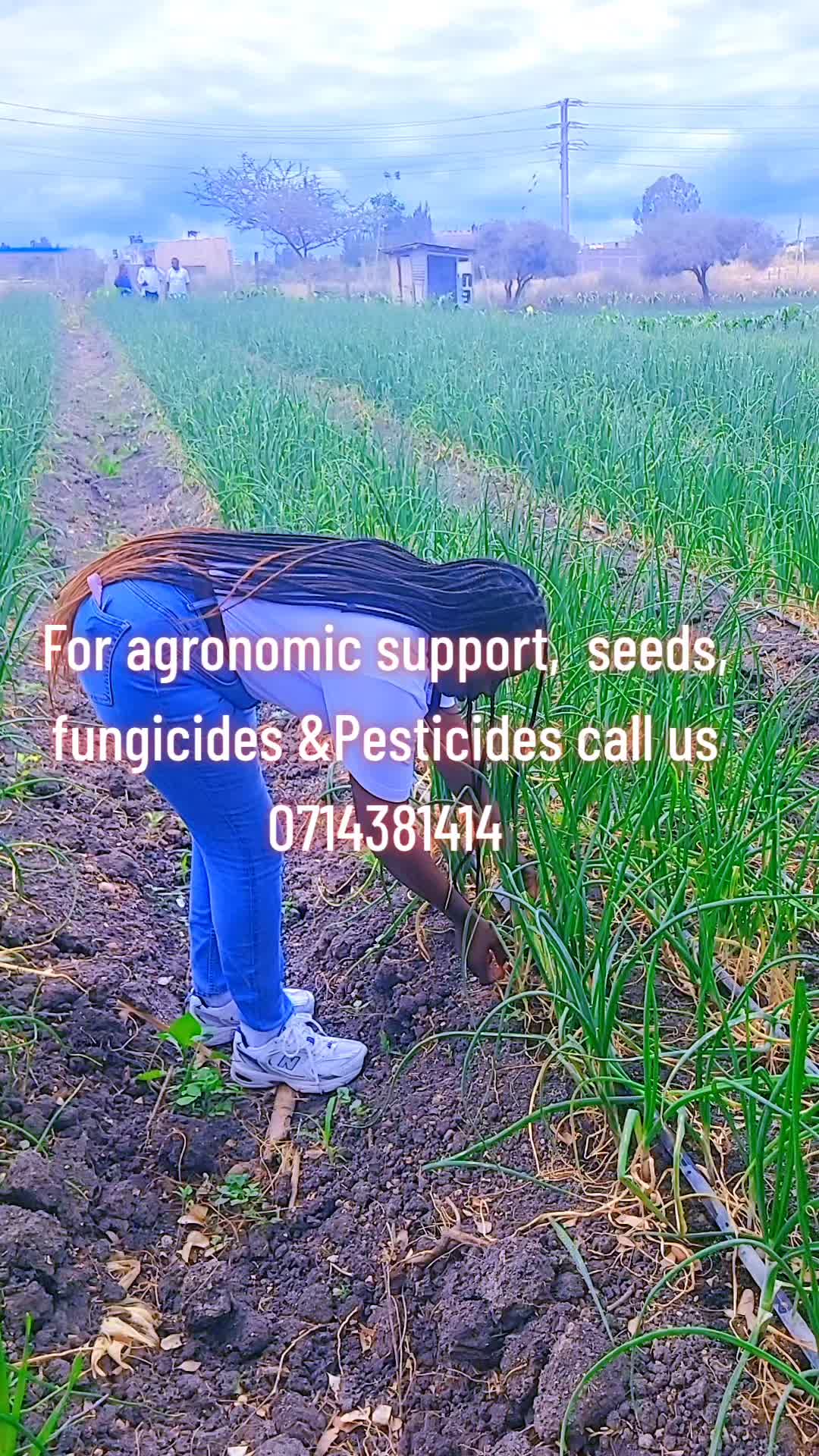 @Farming Expert
