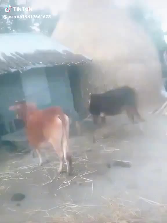 @আমার দুই ছেলে আলহামদুলিল্লাহ