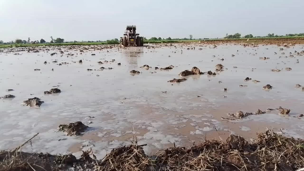 @Tayyab Goraya