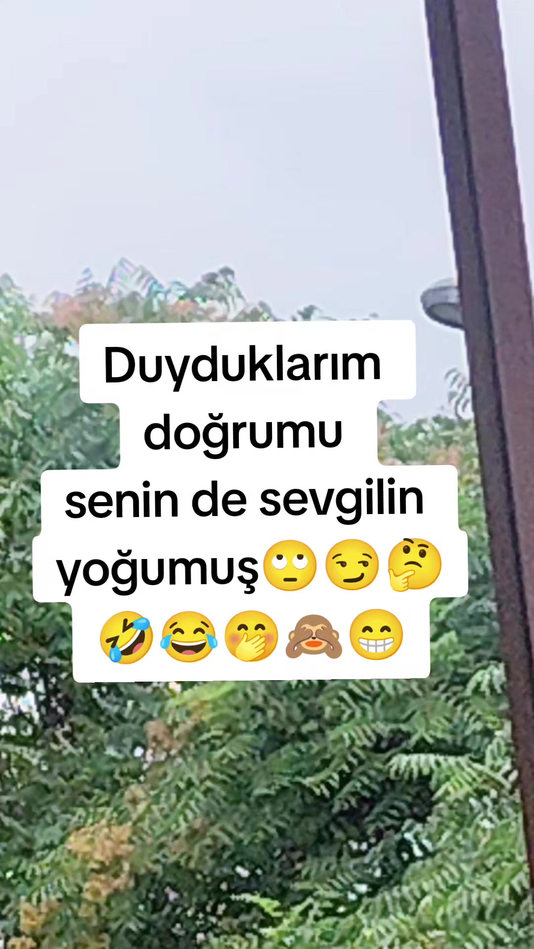 @☪⃝🕊️ѕυѕкυи кяαℓ☪⃝👑