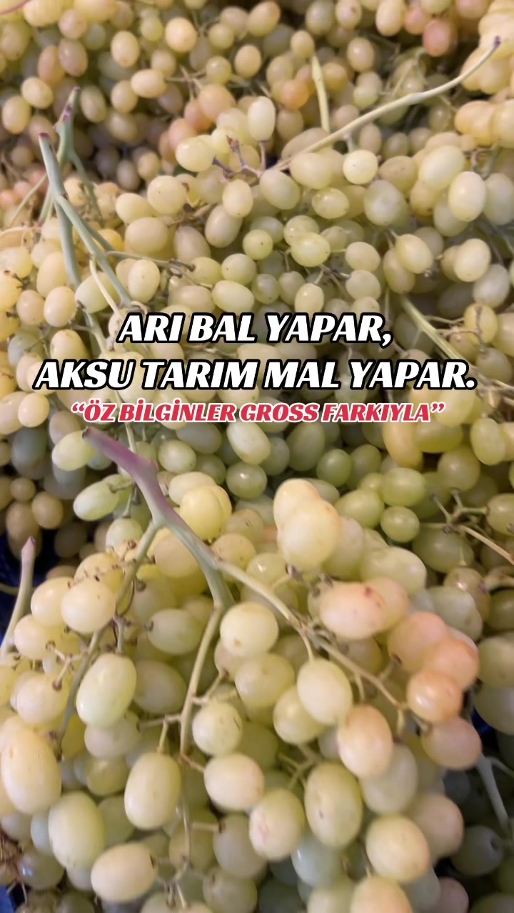 @İ𝗦𝗠𝗘𝗧 𝗕𝗟𝗚𝗡