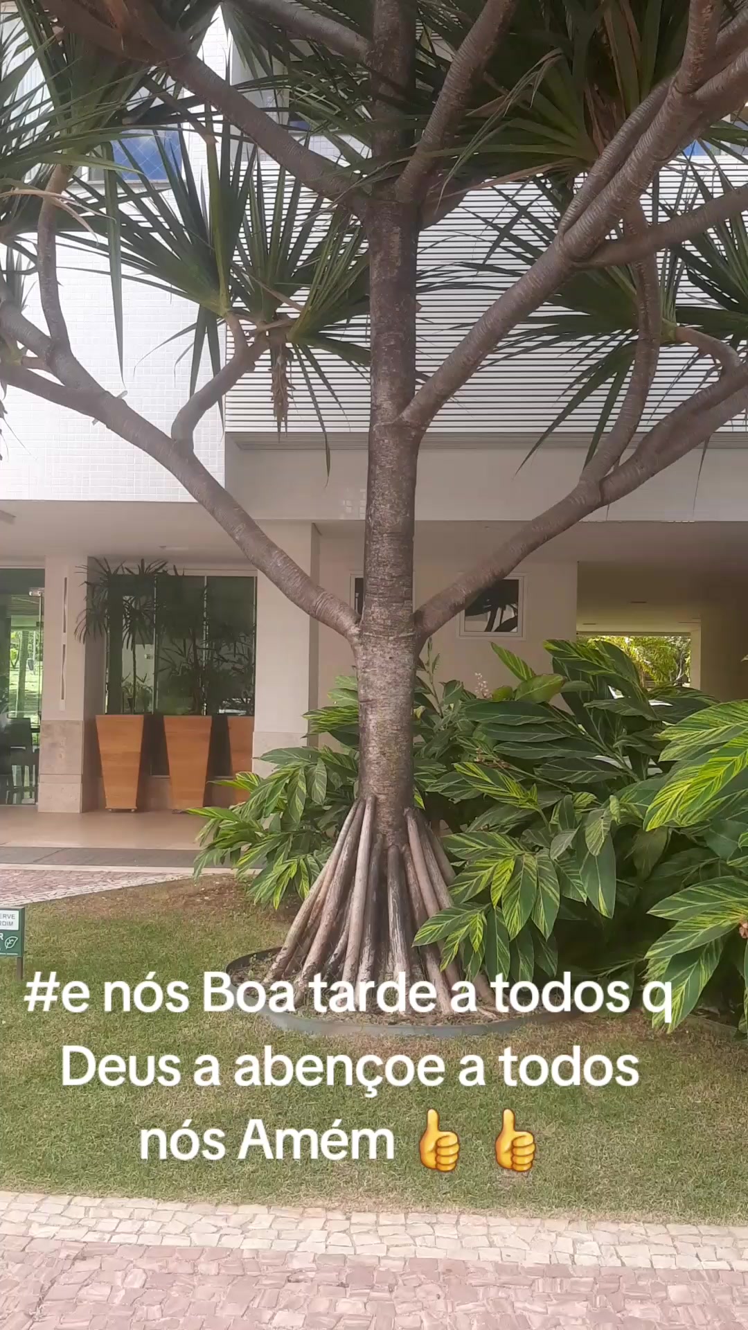 @mazinho