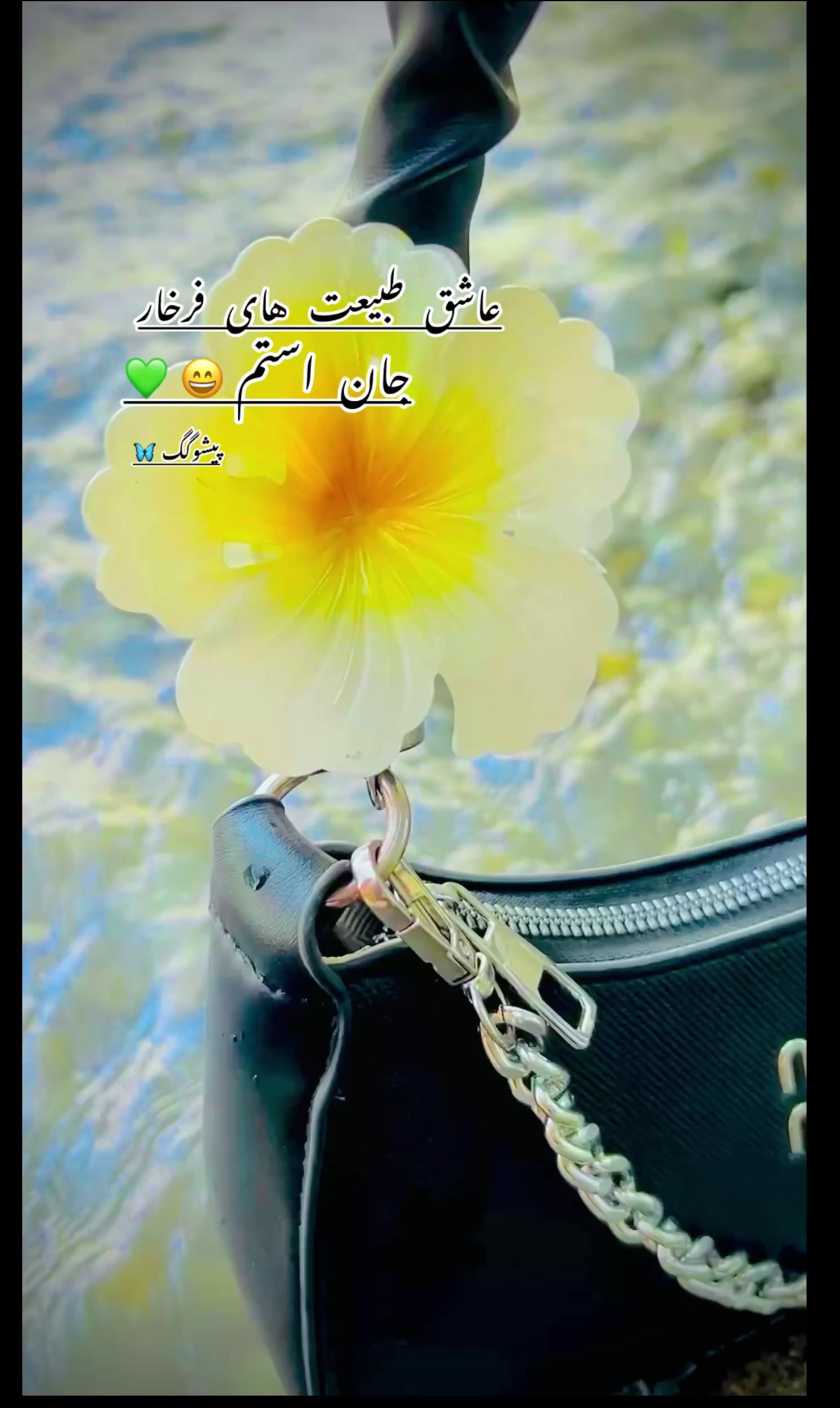@🎀پیشو🌝گگ🎀