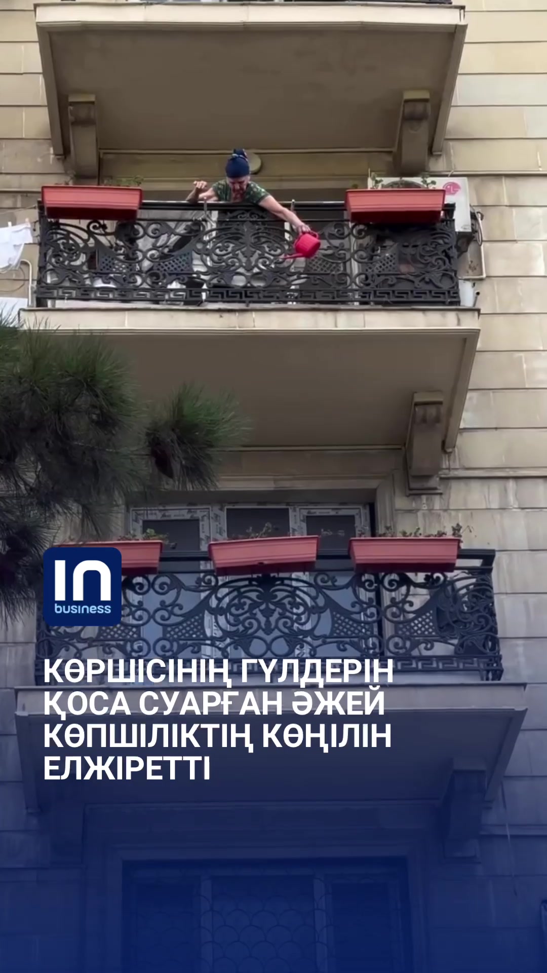 @inbusiness.kz