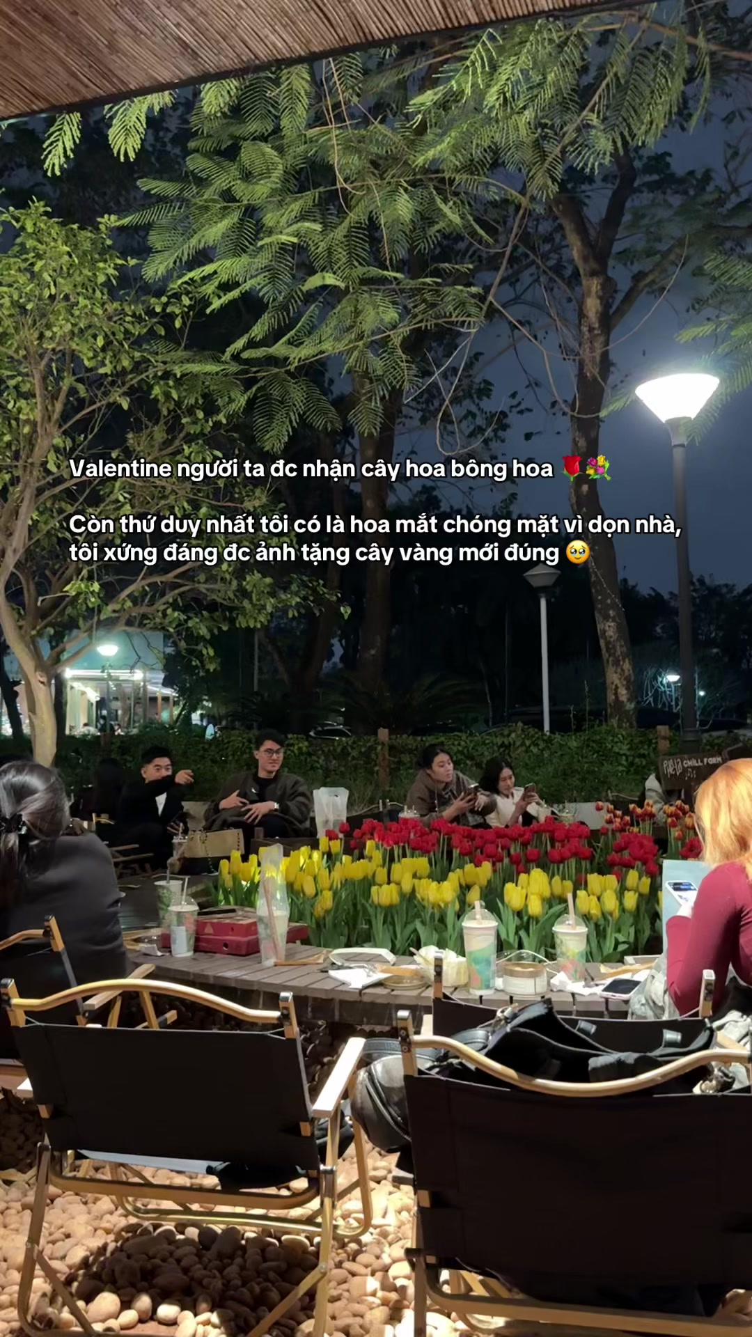 @Bạn đời của h&agrave;m duy tr&igrave;