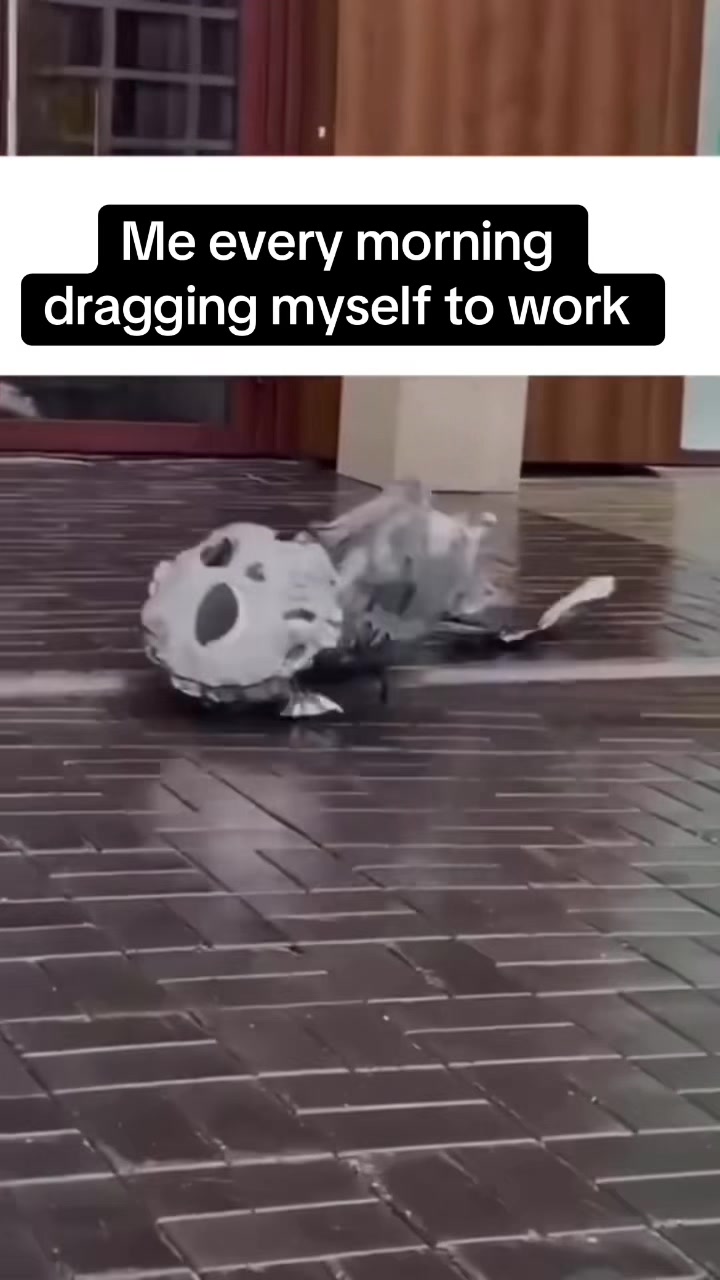 @corporategags