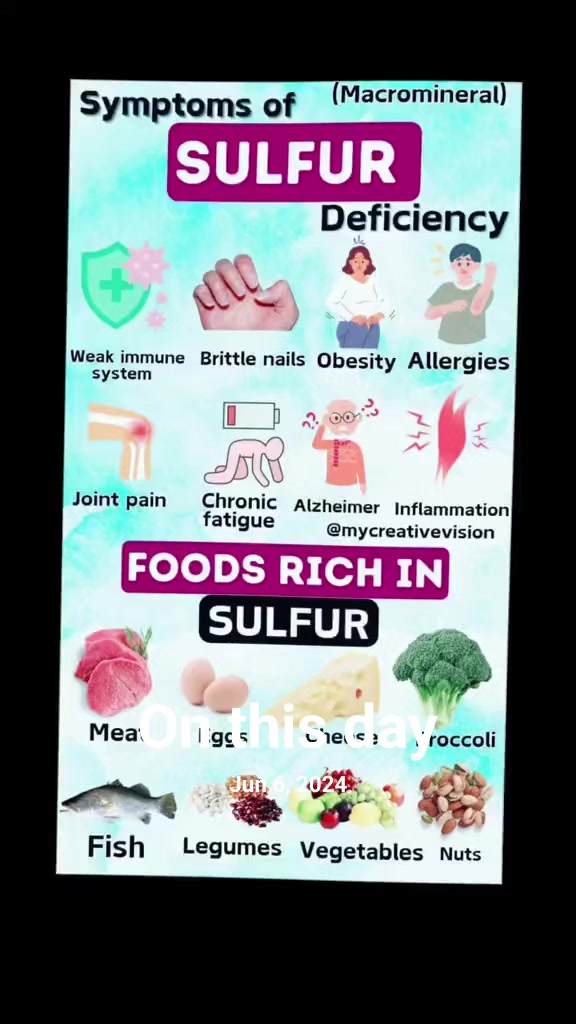 @my Creative Visions
