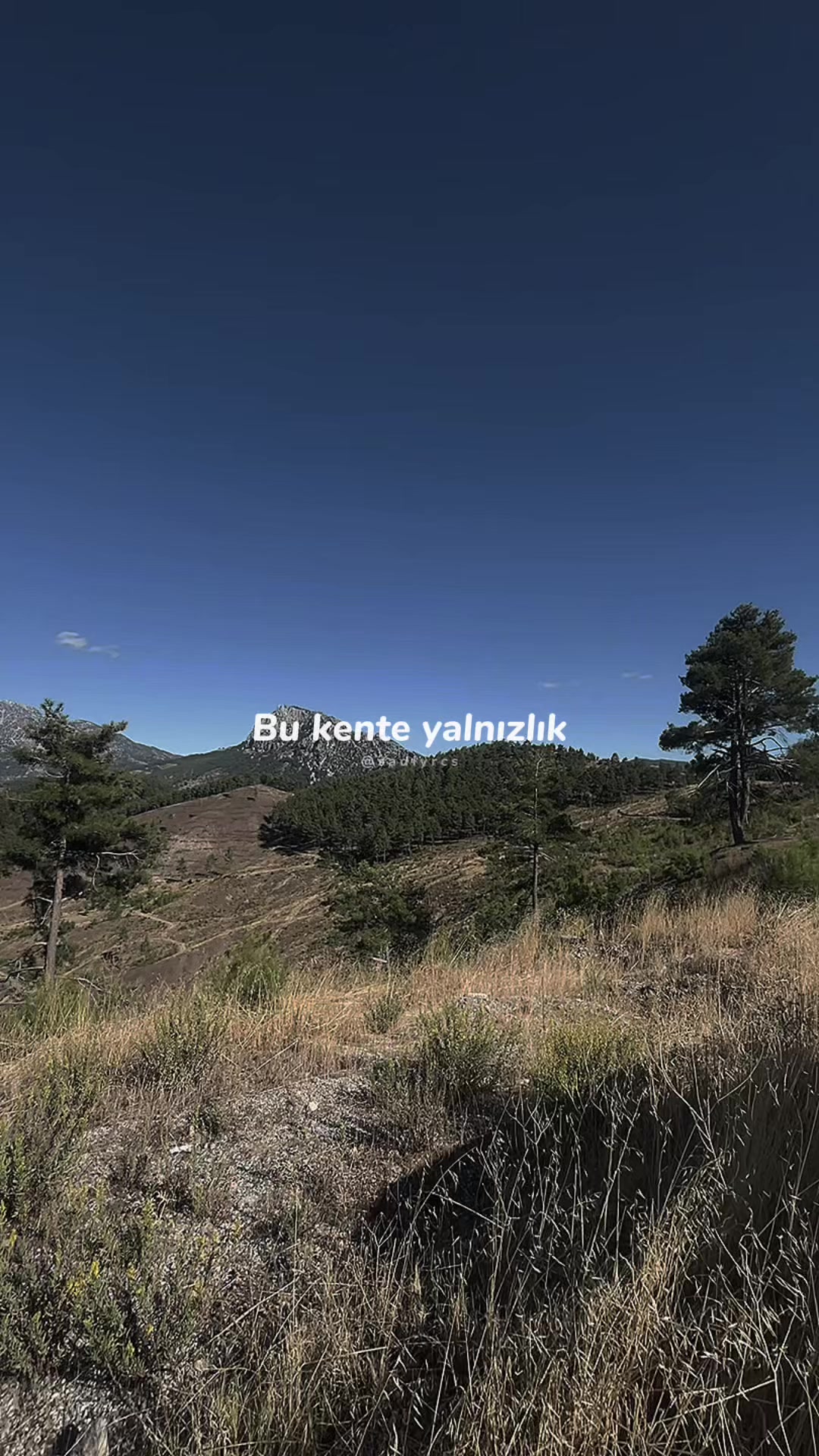 @Mustafa Ordu