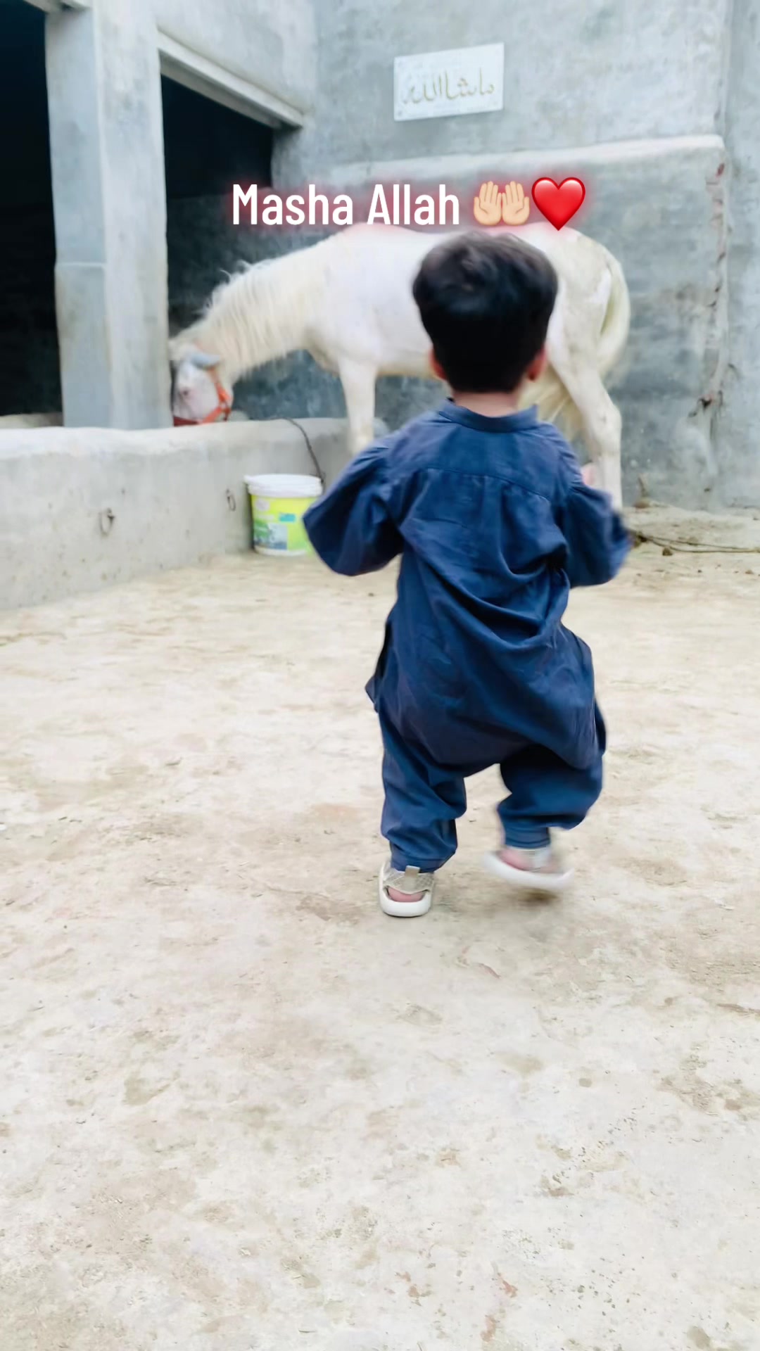 @🦅Ch-Asjad-Ali-Saidagoll🐎