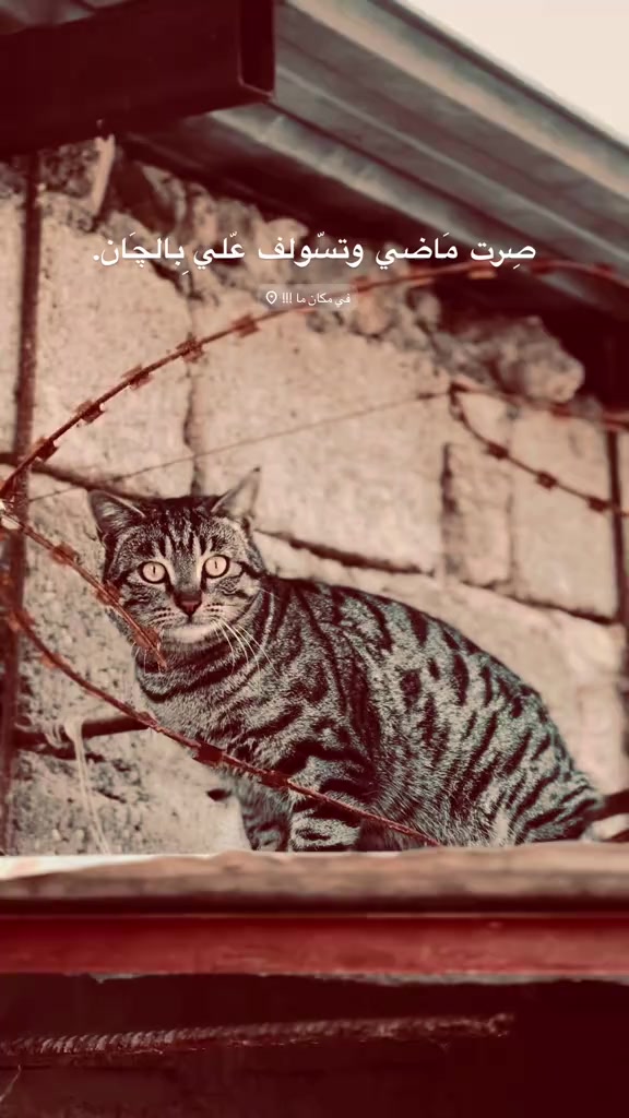 @ودعتك