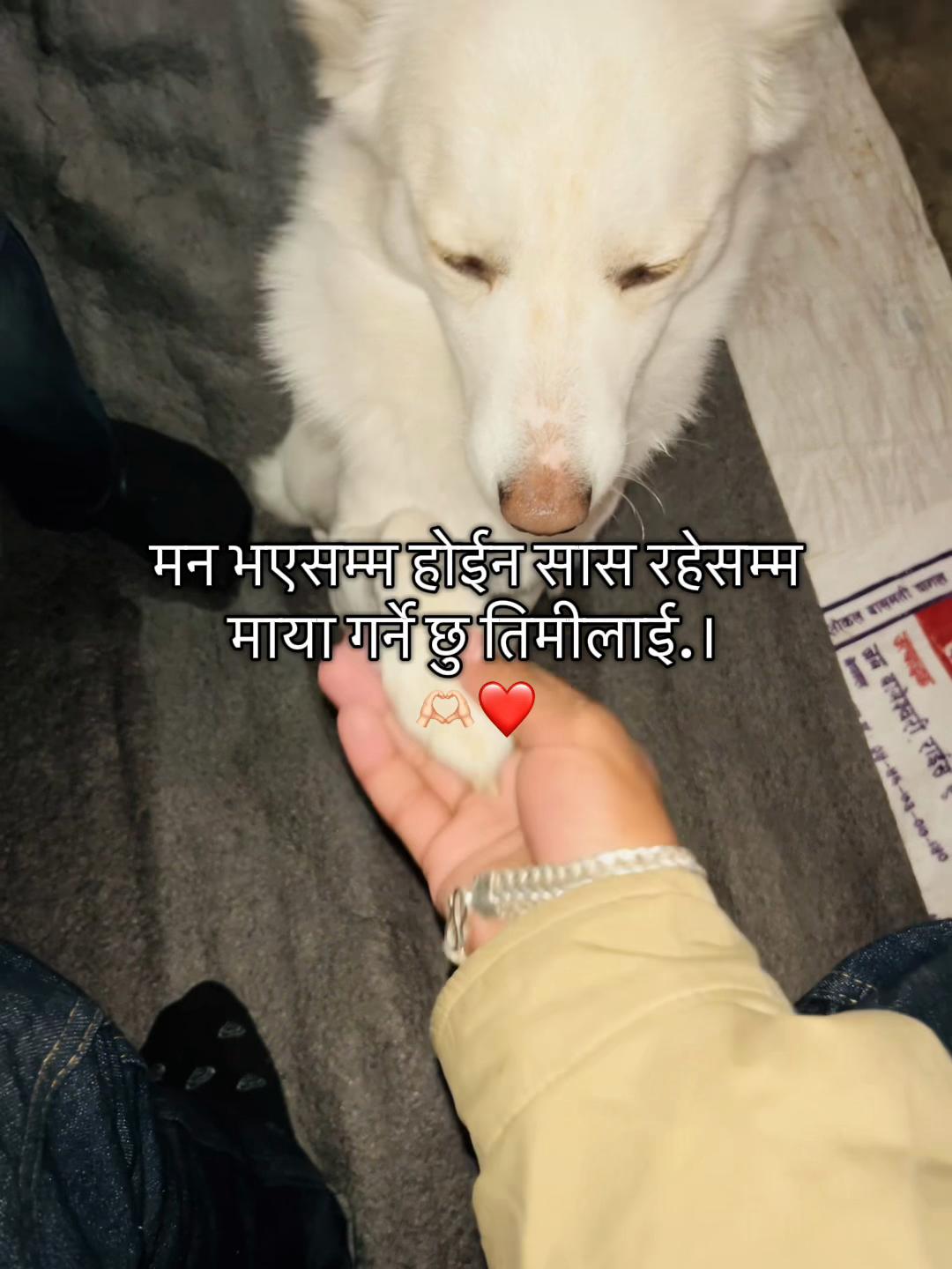 @डिकेन्द्र.❤️